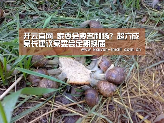 赛事数据